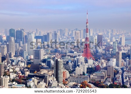 Big city view - Tokyo, Japan. Cityscape photo.