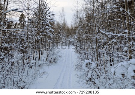 winter landscape, Russia