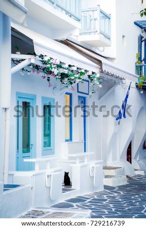 Cat laying at a beautiful porch of the streets of Mykonos, Greece with a Greek Flag next to him.