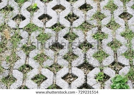 green grass in the block brick
