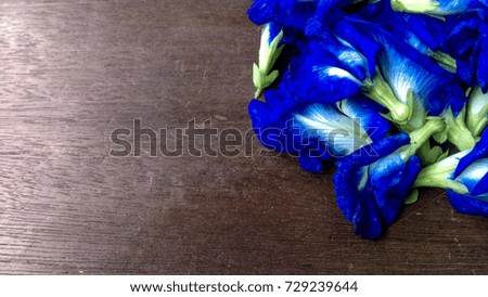 Butterfly pea  flower or Clitoria ternatea on old wood background

