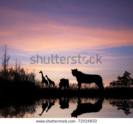 Safari in Africa silhouette of wild animals reflection in water