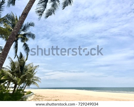 Palm tree with sand beach and blue sky natural background.Concept for travel holiday vacation and summer.