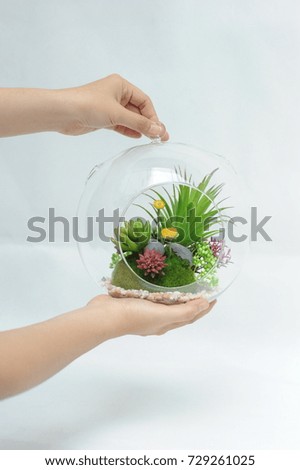 Glass vase plastic flowers on white background