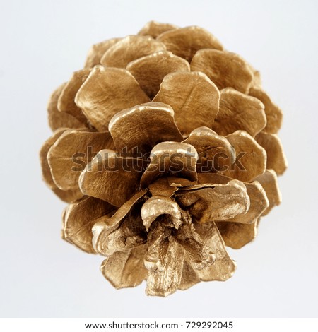 gold pinecone. golden Christmas decoration. isolated on white background.