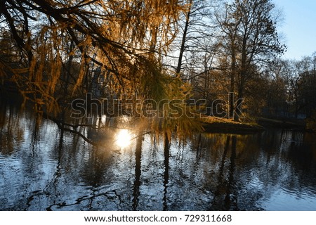 Autumn morning a very bright sunbeam on the surface of the water of a park pond