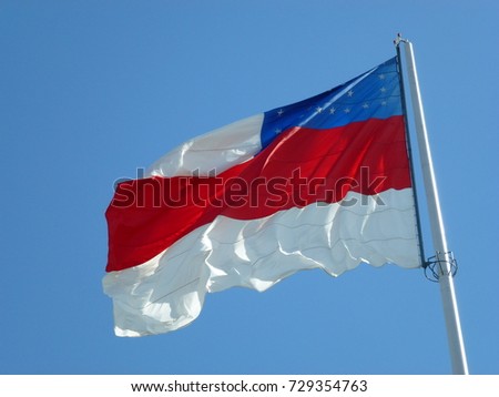 
Flag of the Amazon State of Brazil.
 Royalty-Free Stock Photo #729354763
