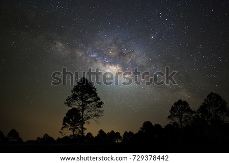 Landscape silhouette of tree with milky way galaxy and space dust in the universe, Night starry sky with stars 