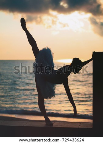 Silhouette of ballerina in ballet tutu and pointe on dramatic sky background. Young beautiful woman practicing stretching and exercises. Girl in static posture.
