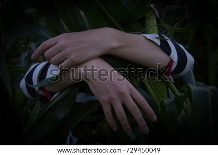 Woman's hands holding corn stems in corn field in striped sleeves at dusk