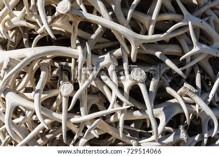 Close up Elk Antlers in Town Square, Jackson WY