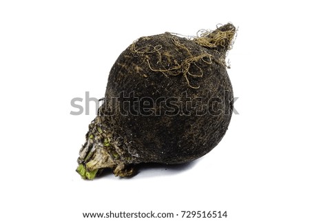 Fresh black turnip (radish) isolated on the white background