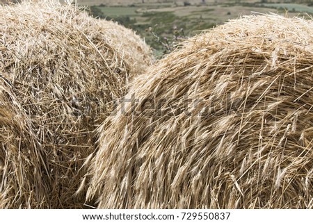 Hay bales on a field Teruel Aragon Spain
