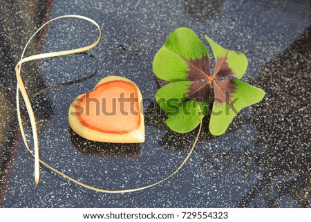Lucky fresh green four leaf clover on gray background.
