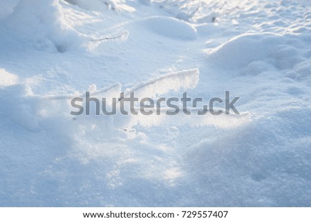 Bright sunlight snow covered sticks winter background
