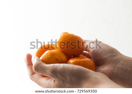 A girl's hands are holding and offering oranges isolated on white background