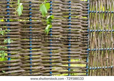 Bamboo wicker fence