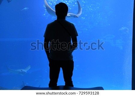 Visitor travel at Kaiyukan Osaka Aquarium