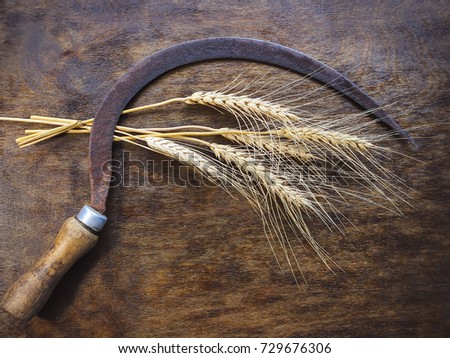 old sickle and ears of wheat on a wooden board. Royalty-Free Stock Photo #729676306