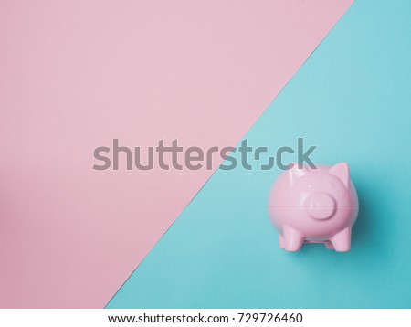 Piggy Bank Money Saving Finance Concept.Piggy bank pink color on color background.top view flat lay style.