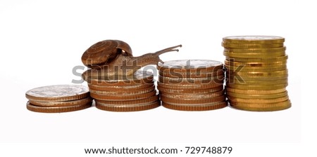 Brown snail climbing  the pile of coins on white background  ,Business and finance ,Victory and success from patience ,Slow economic growth ,Four - pile coins in a graph pattern soared  