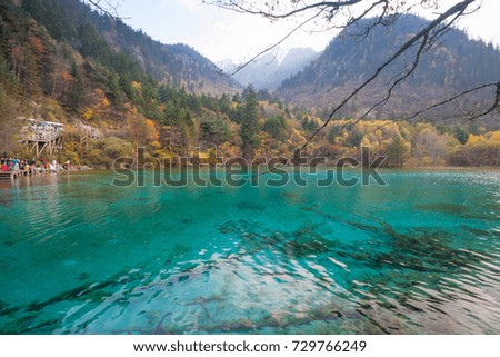  Five Flower Lake in Jiuzhaigou national park, Sichuan, China