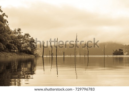 The lake with golden light from Thailand, Asian