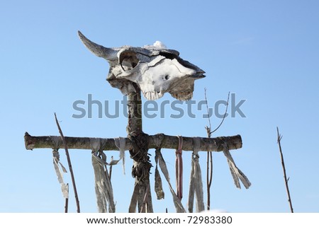 The cow skull on a fence of rural manor.