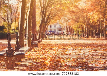 bench in autumn park in Paris, romantic fall background