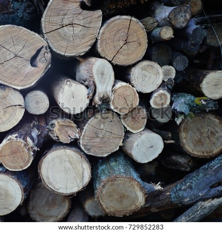 A pile of wooden logs. Round log frame.