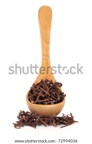 Uncaria stem with hooks in an olive wood ladle and scattered, isolated over white background. Used in chinese herbal medicine. Gon teng. Ramulus uncariae cum uncis. Selective focus. Royalty-Free Stock Photo #72994036
