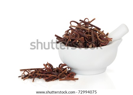 Uncaria stem with hooks in a porcelain mortar with pestle and scattered, isolated over white background. Used in traditional chinese herbal medicine. Gon teng. Ramulus uncariae cum uncis. Royalty-Free Stock Photo #72994075