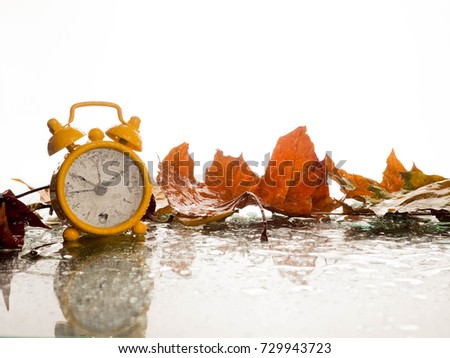 Vintage alarm clock with maple leaves on white background with bokeh