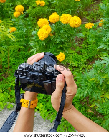 Woman hands holding cameras flowers.