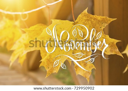Golden autumn leaves on a sunny day. Great season texture with fall mood. Nature november background with hand lettering November. Selective focus, copy space.