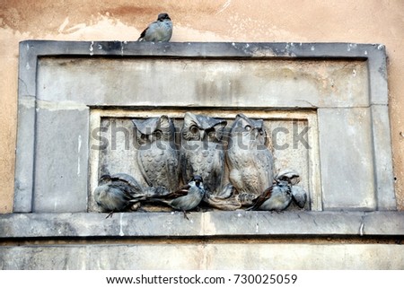Picture with three Owls and Sparrows - Warsaw - Poland 