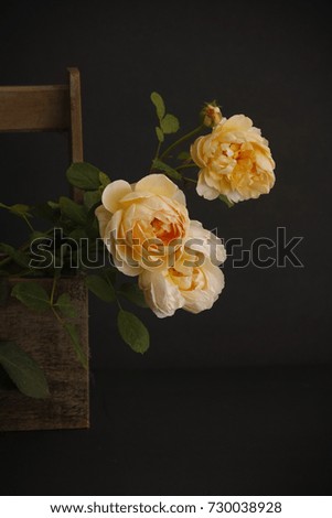 Yellow roses in a wooden basket on a black background