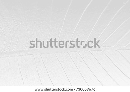 Grey color texture pattern abstract background can be use as wall paper screen saver cover page or for winter season card background or Christmas festival card background and have copy space for text.