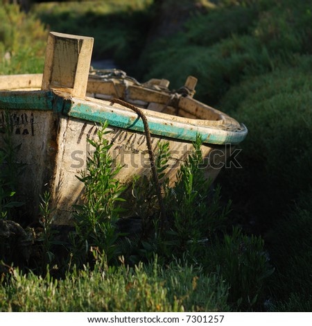 Front view of  a small boat aground in the green land. (Square picture)