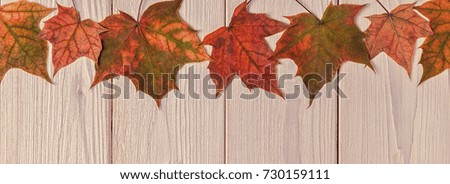 Beautiful multi-colored autumn leaves on wooden background.