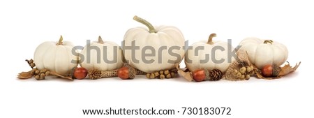 Autumn border arrangement of white pumpkins and brown leaves isolated on a white background