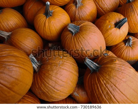 Festive pile of orange autumn pumpkins at a farmer’s market ready for halloween holiday