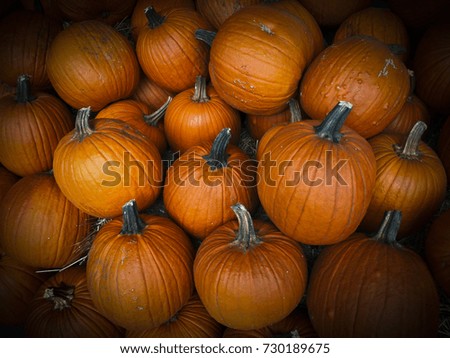 Festive pile of orange autumn pumpkins at a farmer’s market ready for halloween holiday