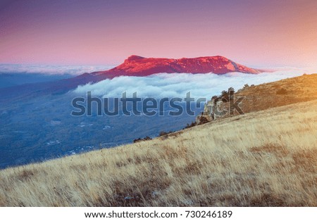 Picture of a scenic valley in morning light. Location Crimea, Crimean peninsula, Ukraine, Europe. Perfect wallpapers. Discover the beauty of earth. Great photo of wild area. Concept of active tourism.