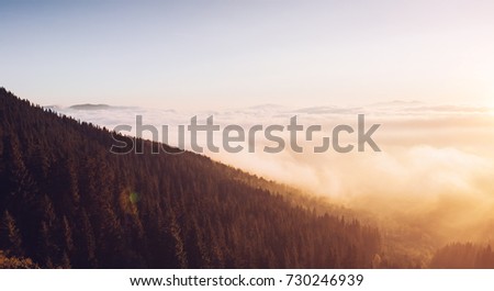 Scenic image of misty valley. Locations Carpathian national park, Ukraine, Europe. Excellent wallpapers. Explore the beauty of earth. Great picture of wild area. Drone photography. Instagram filter.