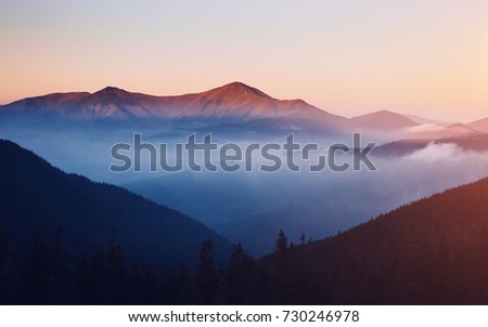 Scenic image of misty range. Locations Carpathian national park, Ukraine, Europe. Excellent wallpapers. Explore the beauty of earth. Great picture of wild area. Drone photography. Instagram filter.