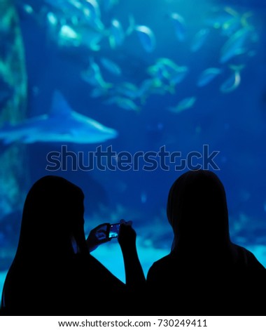 Silhouettes of two girls making mobile photographs of shark and other fishes in aquarium