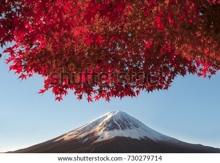 Fuji Mountain with Red Maple Tree in Autumn at Kawaguchiko lake