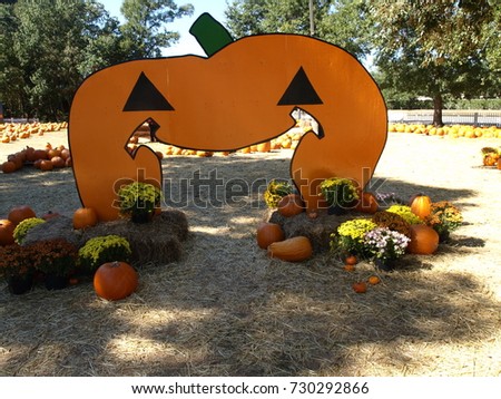 Halloween decoration big pumpkin 