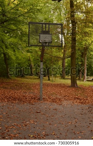 Outdoor metallic basketball hoop in the park with trees in the background and autumn foliage on the ground